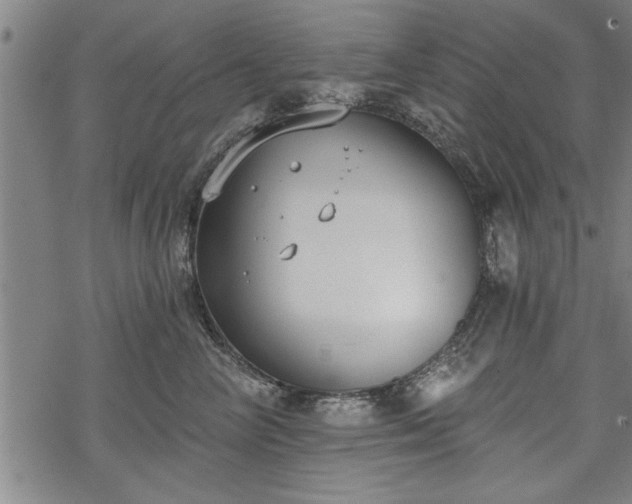 X0000069380714200605150917