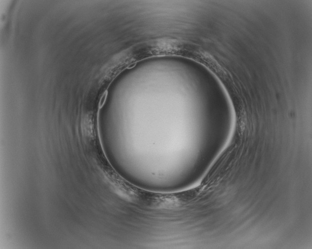 X0000069380715200605150917