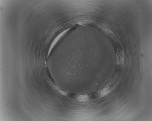 X0000069380718200605150917