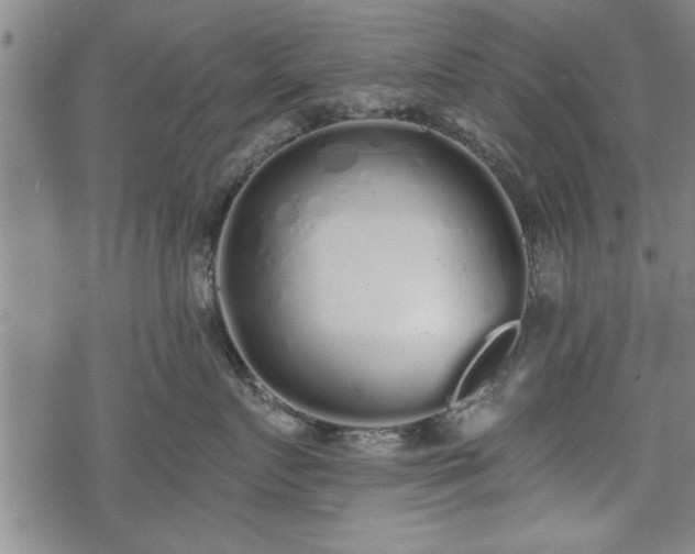 X0000069380719200605150917