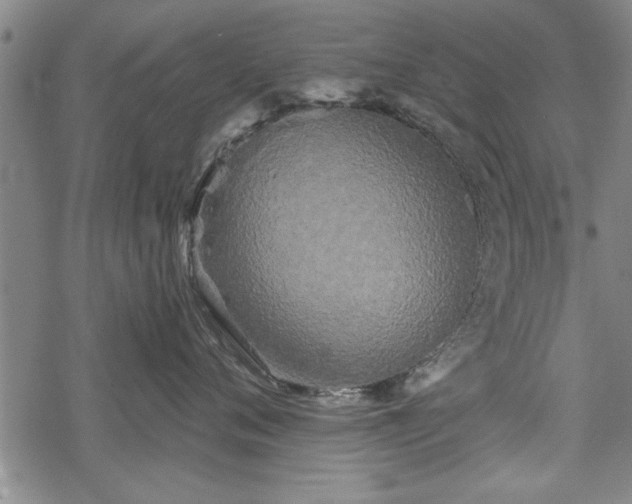 X0000069380720200605150917