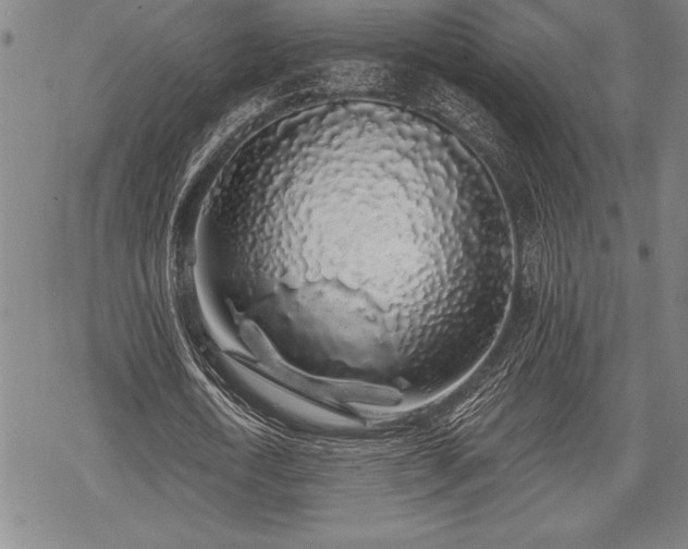 X0000069380722200605150916