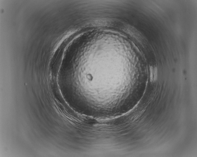 X0000069380723200605150917