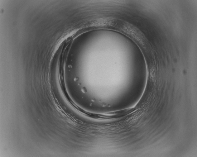 X0000069380724200605150917