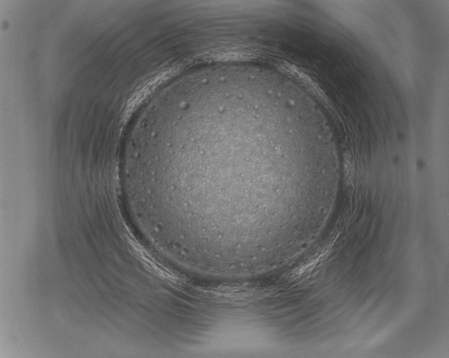 X0000069380725200605150917