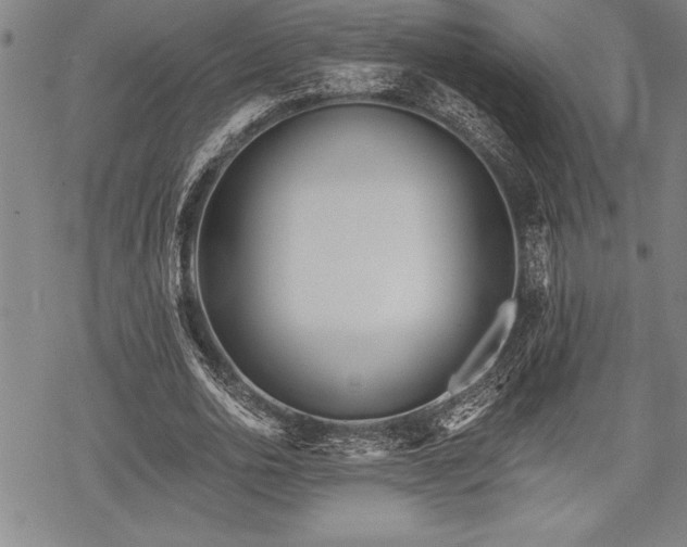 X0000069380726200605150917