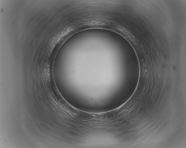 X0000069380727200605150917