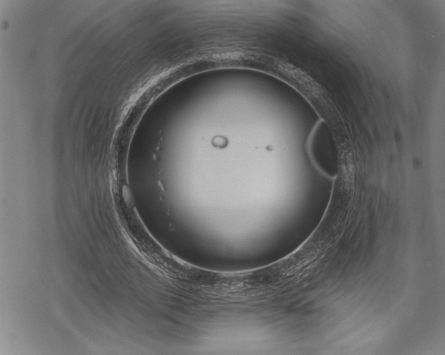 X0000069380728200605150917