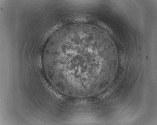 X0000069380729200605150917