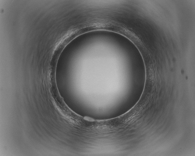 X0000069380730200605150917