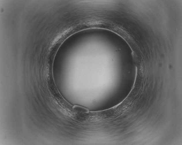 X0000069380732200605150917