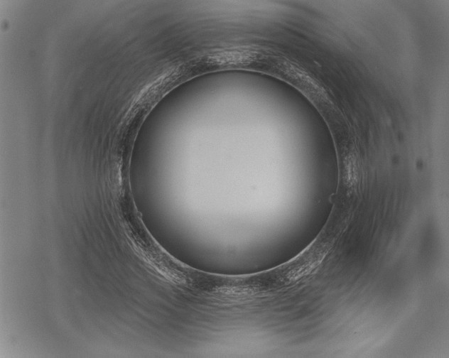 X0000069380733200605150917