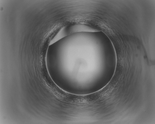 X0000069380735200605150917