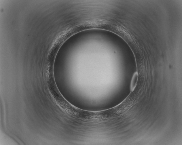 X0000069380736200605150917