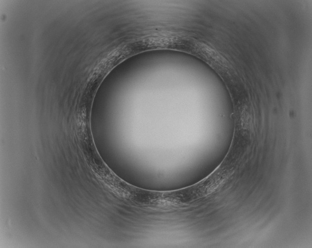 X0000069380737200605150917