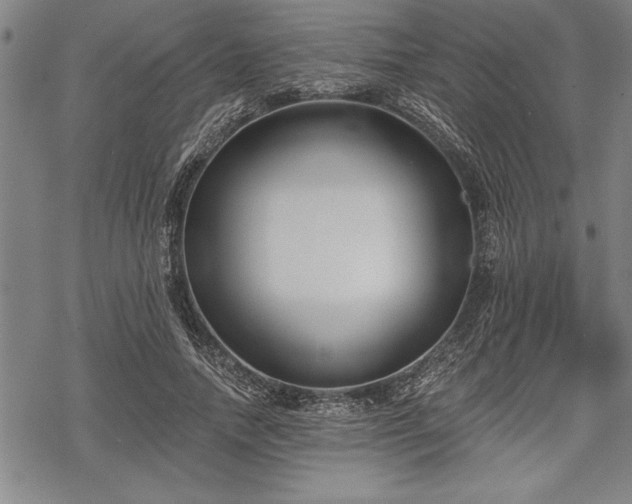 X0000069380738200605150917