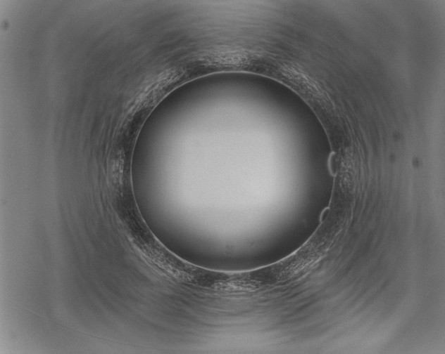 X0000069380739200605150917