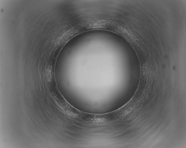 X0000069380741200605150917