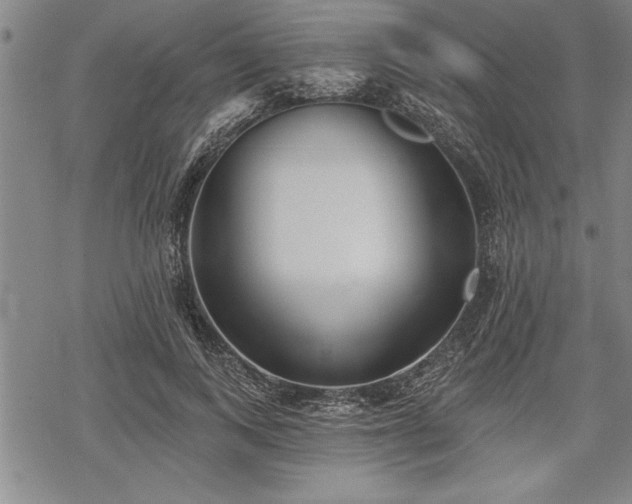 X0000069380743200605150917