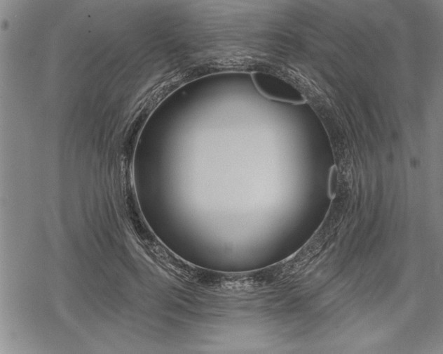 X0000069380744200605150917