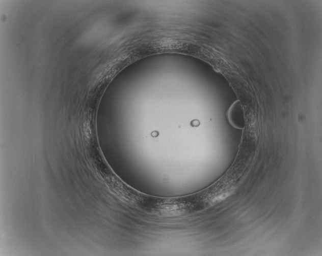 X0000069380746200605150917