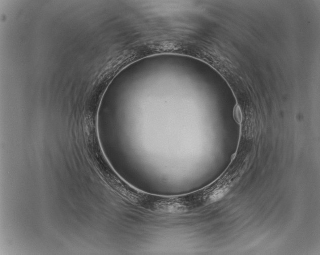 X0000069380747200605150917