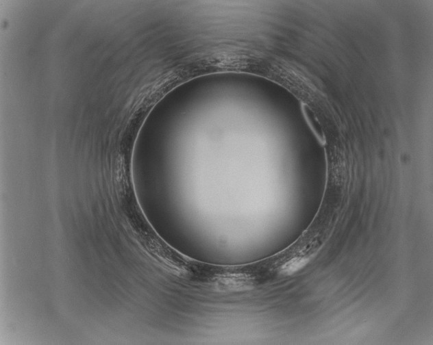 X0000069380748200605150917