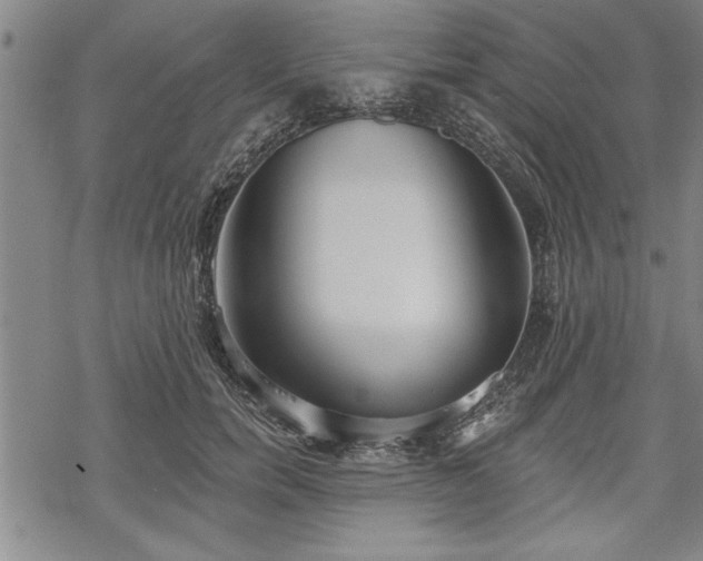 X0000069380750200605150917