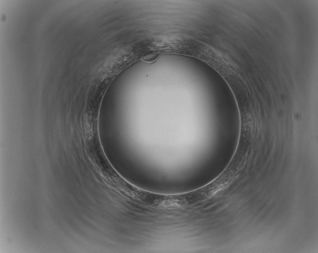 X0000069380751200605150917