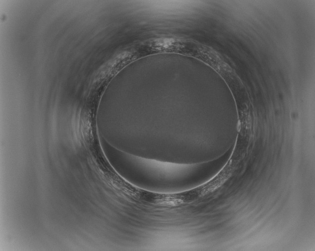 X0000069380754200605150917