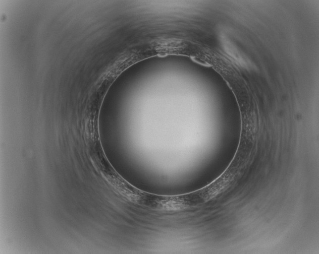 X0000069380755200605150917