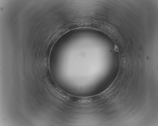 X0000069380756200605150917