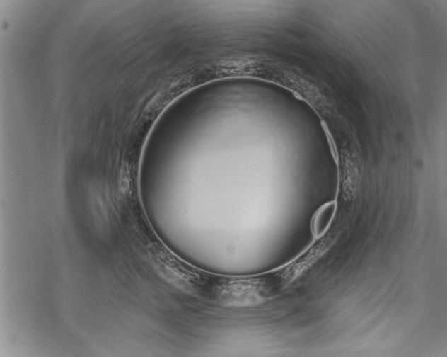 X0000069380758200605150917