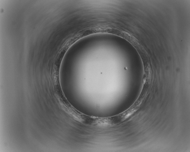 X0000069380762200605150917