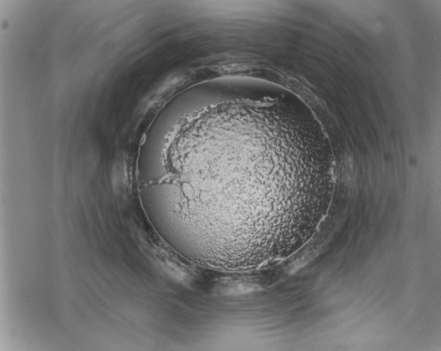 X0000069380763200605150917