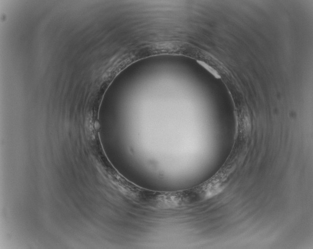 X0000069380764200605150917