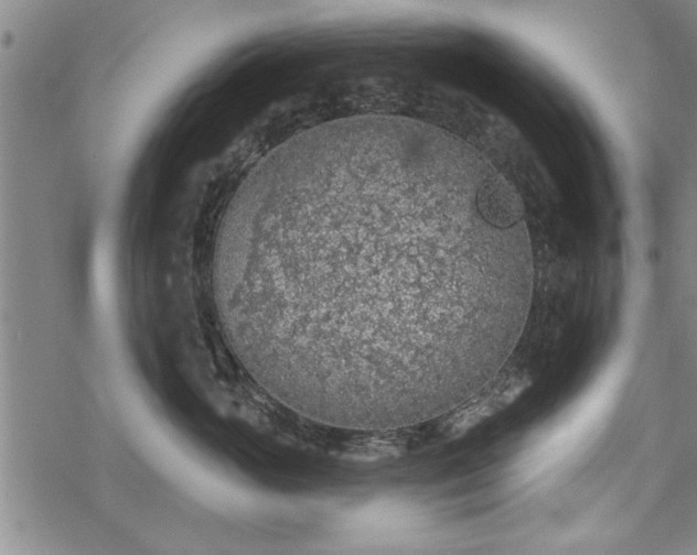 X0000069380765200605150917