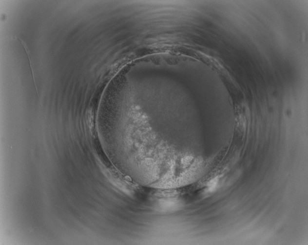 X0000069380767200605150917