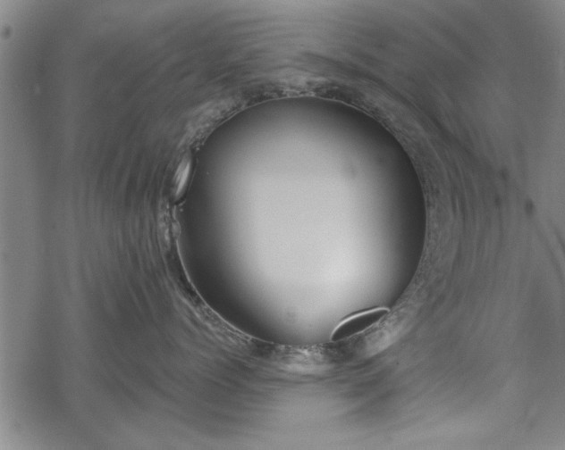 X0000069380768200605150917