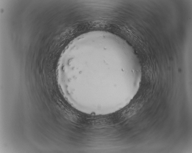 X0000069380769200605150916