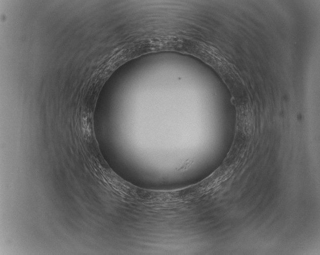 X0000069380770200605150916