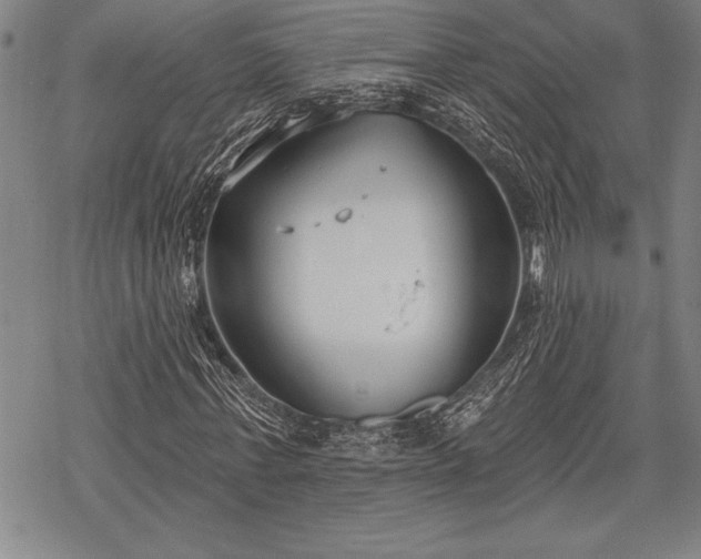 X0000069380771200605150916