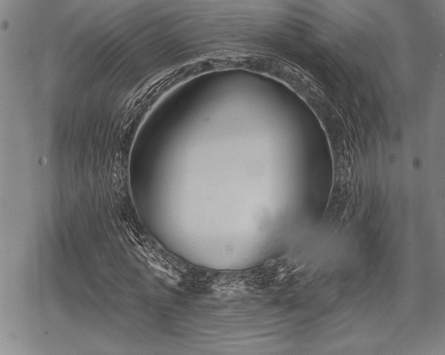 X0000069380773200605150916