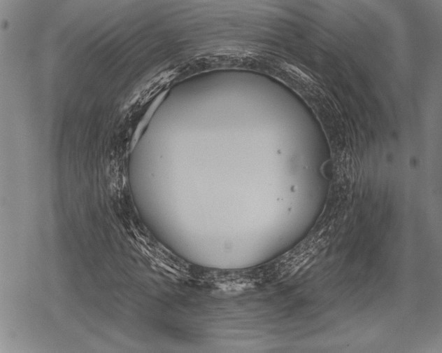 X0000069380774200605150916