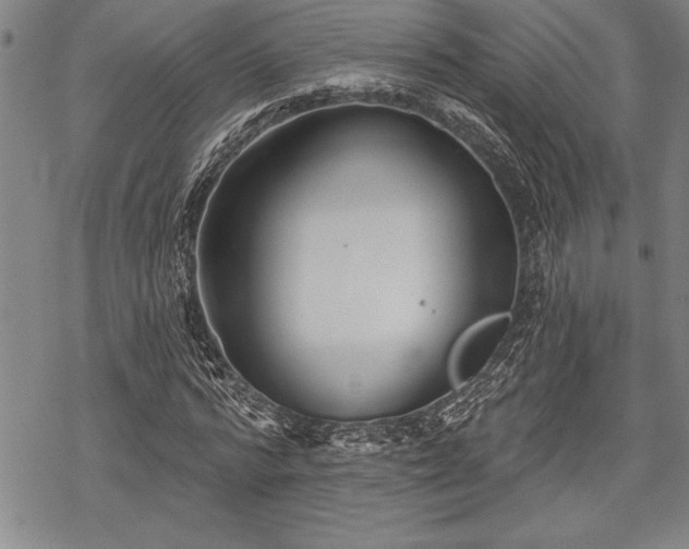 X0000069380776200605150916