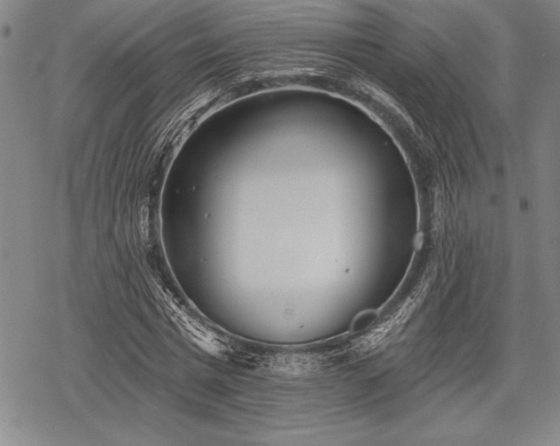 X0000069380777200605150916