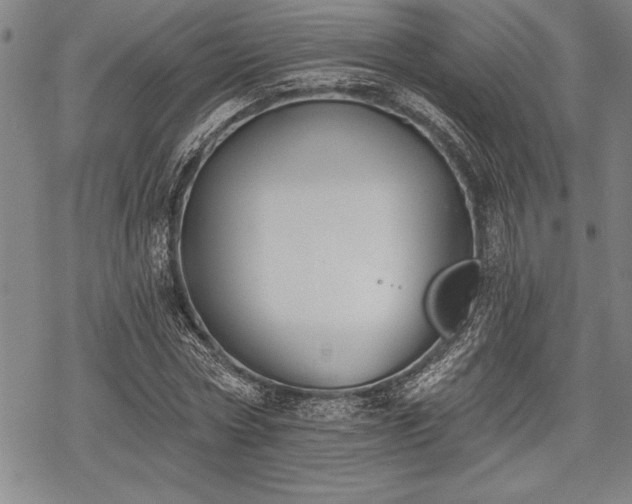 X0000069380778200605150916