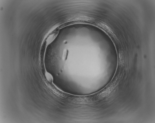 X0000069380780200605150916