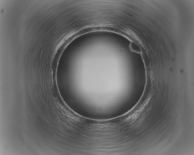 X0000069380781200605150916