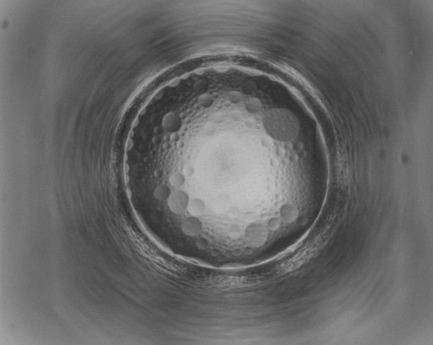 X0000069380783200605150916